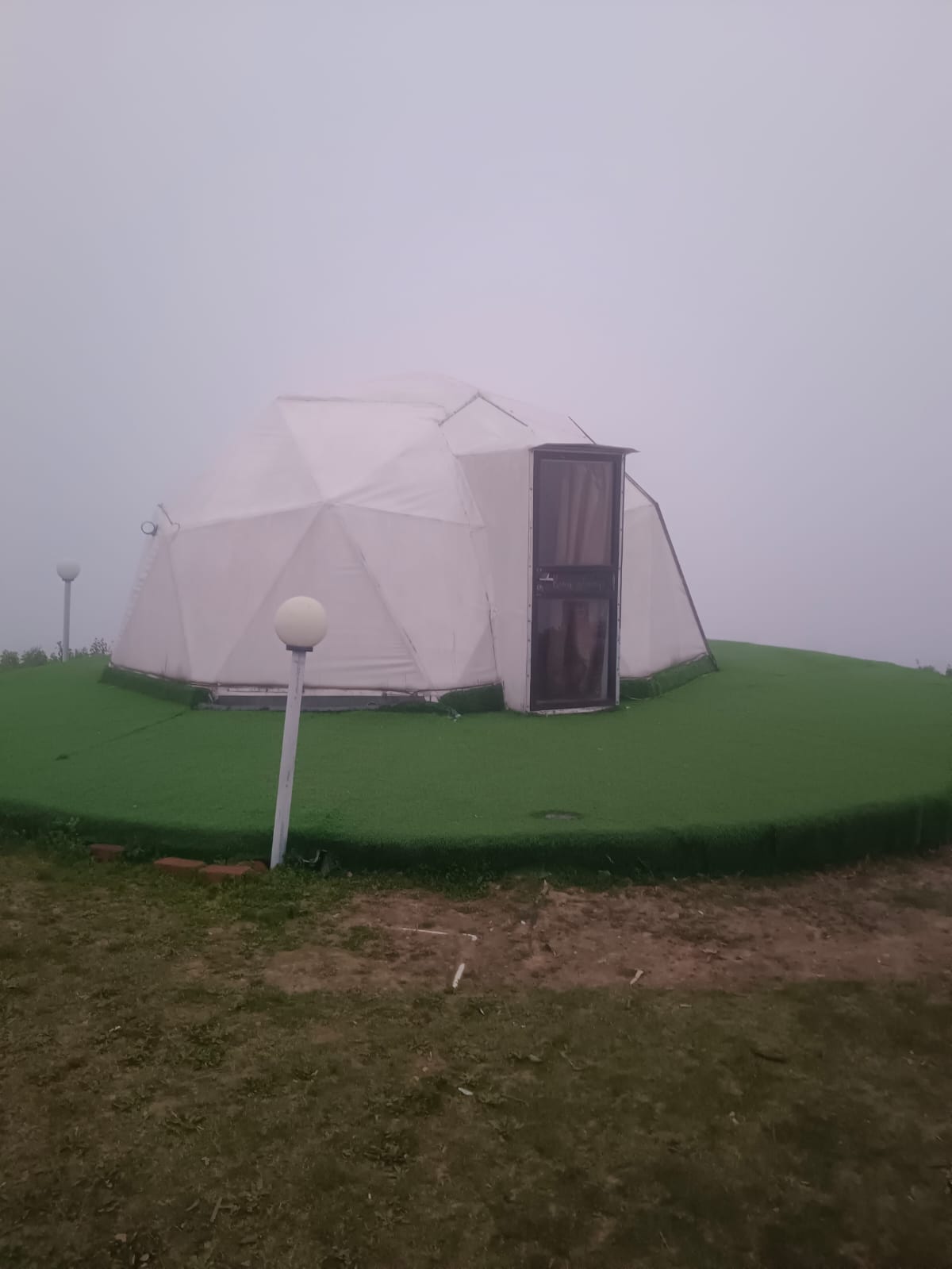 King Glamp - Image 10