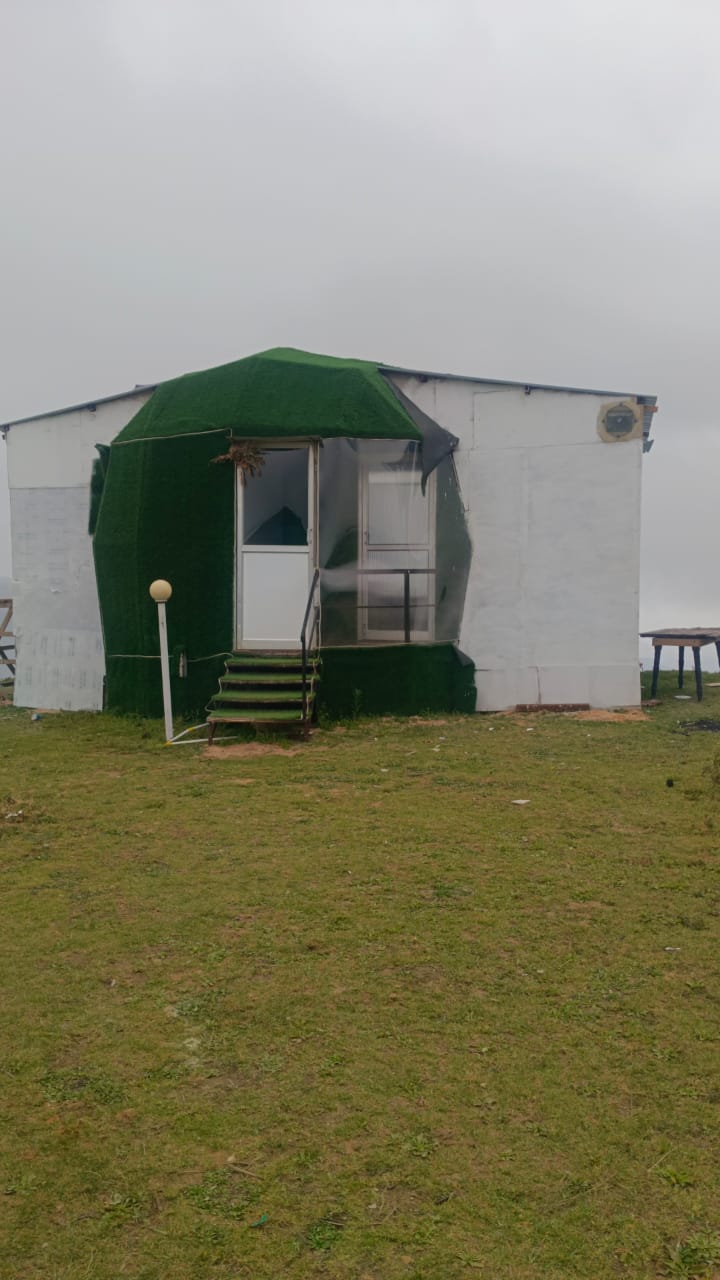Royal Glamp - Image 5