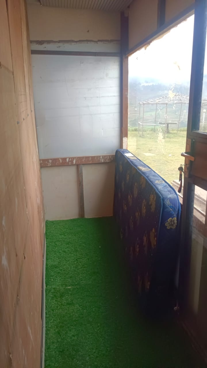 Royal Glamp - Image 6